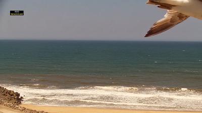 Espinho hoje