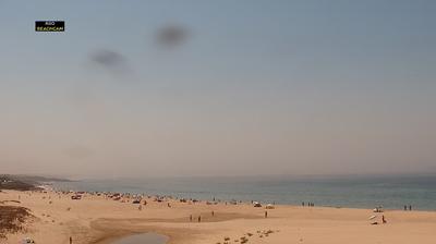 Sines hoje