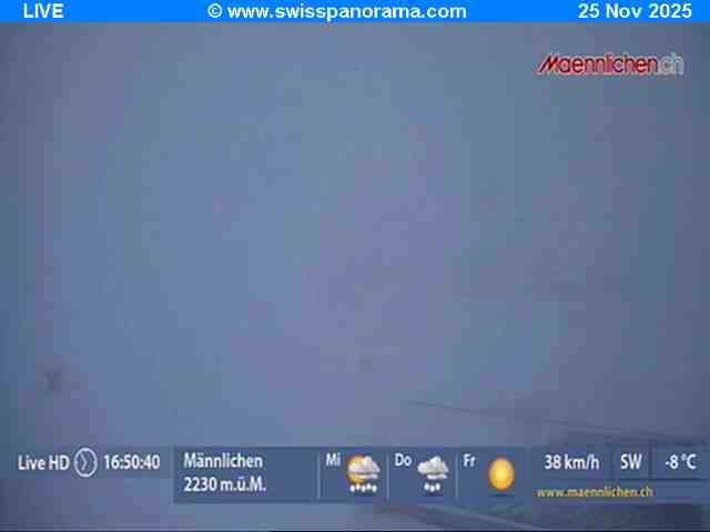 Grindelwald: Männlichen - Bern, Switzerland