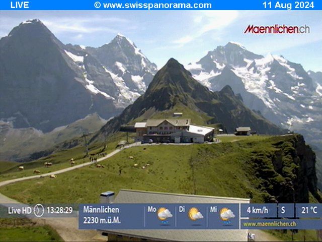 Grindelwald: Männlichen