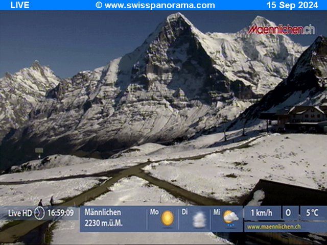 Grindelwald: Männlichen