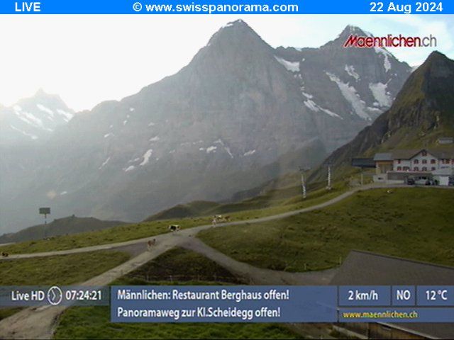 Grindelwald: Männlichen