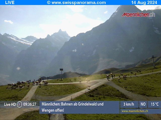 Grindelwald: Männlichen