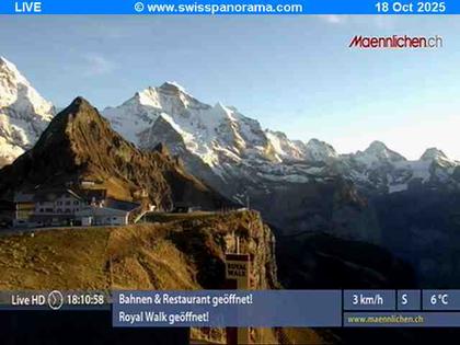 Grindelwald: Männlichen
