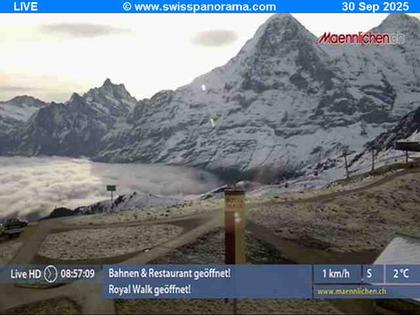 Grindelwald: Männlichen