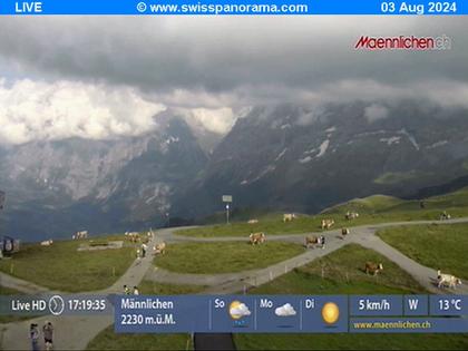 Grindelwald: Männlichen