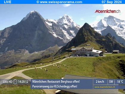 Grindelwald: Männlichen