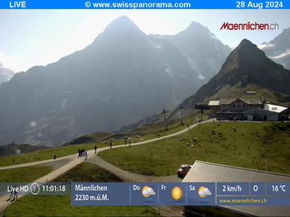 Grindelwald: Männlichen