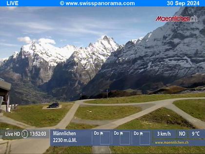 Grindelwald: Männlichen