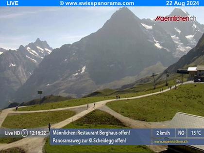 Grindelwald: Männlichen