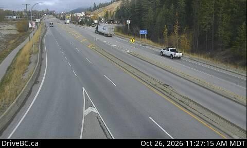 Golden webcam