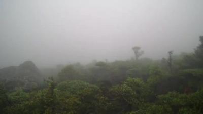 Hallasan National Park today