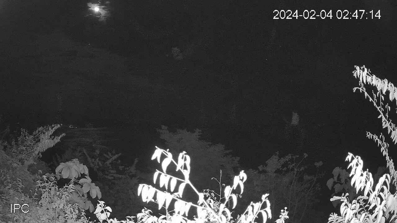 Quepos › South-East: Manuel Antonio Beach