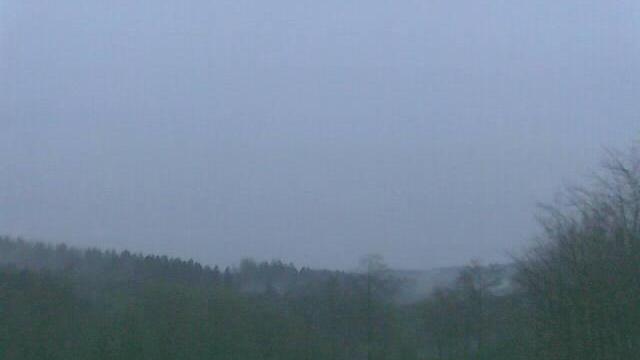 Forest Landscape: Hellenthal Miescheid Webcam