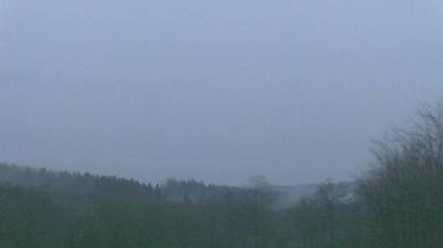 Forest Landscape: Hellenthal Miescheid