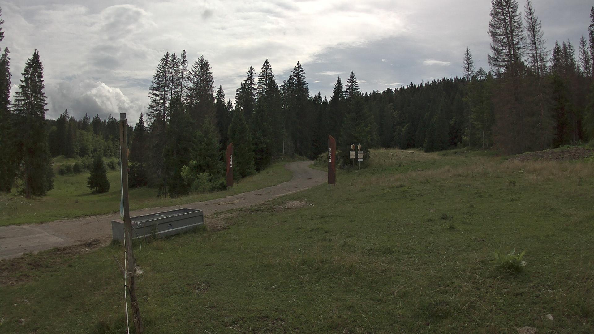 Natures Sport Haven: Darbella Nordique Webcam