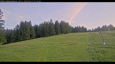 Forest-Side View: Haldenköpfle Ski Area