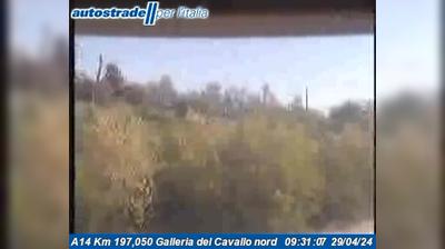 Preview delle webcam di Senigallia: A14 Km 197,050 Galleria del Cavallo nord