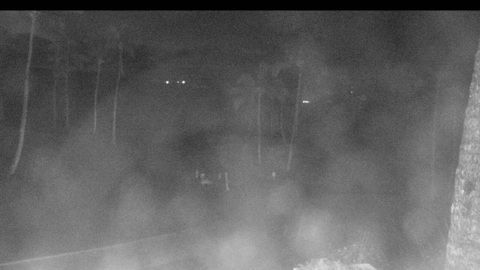 cams around Kahului Airport meteoblue