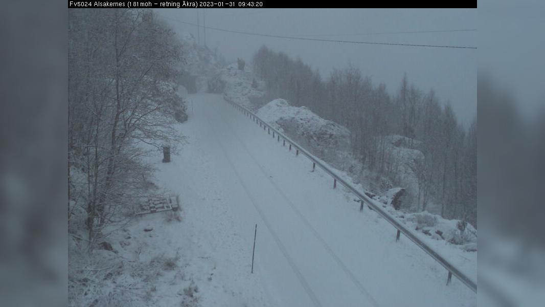 Alsakernes: Traffic and Landscape Webcam