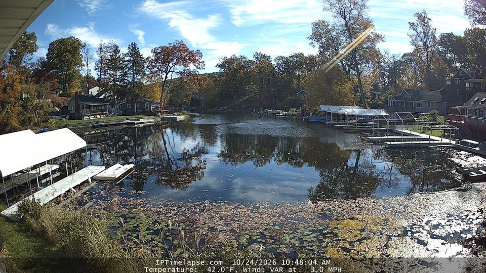Newton webcam
