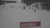 Dalecin: Ski areál