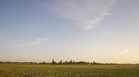 Boston › North: Freiston