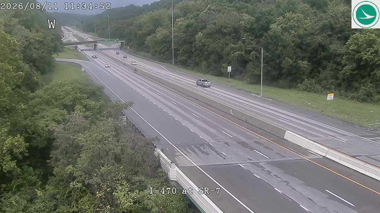 Wheeling webcam