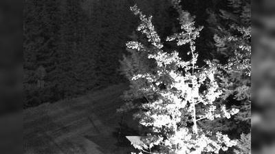 Ouray webcam