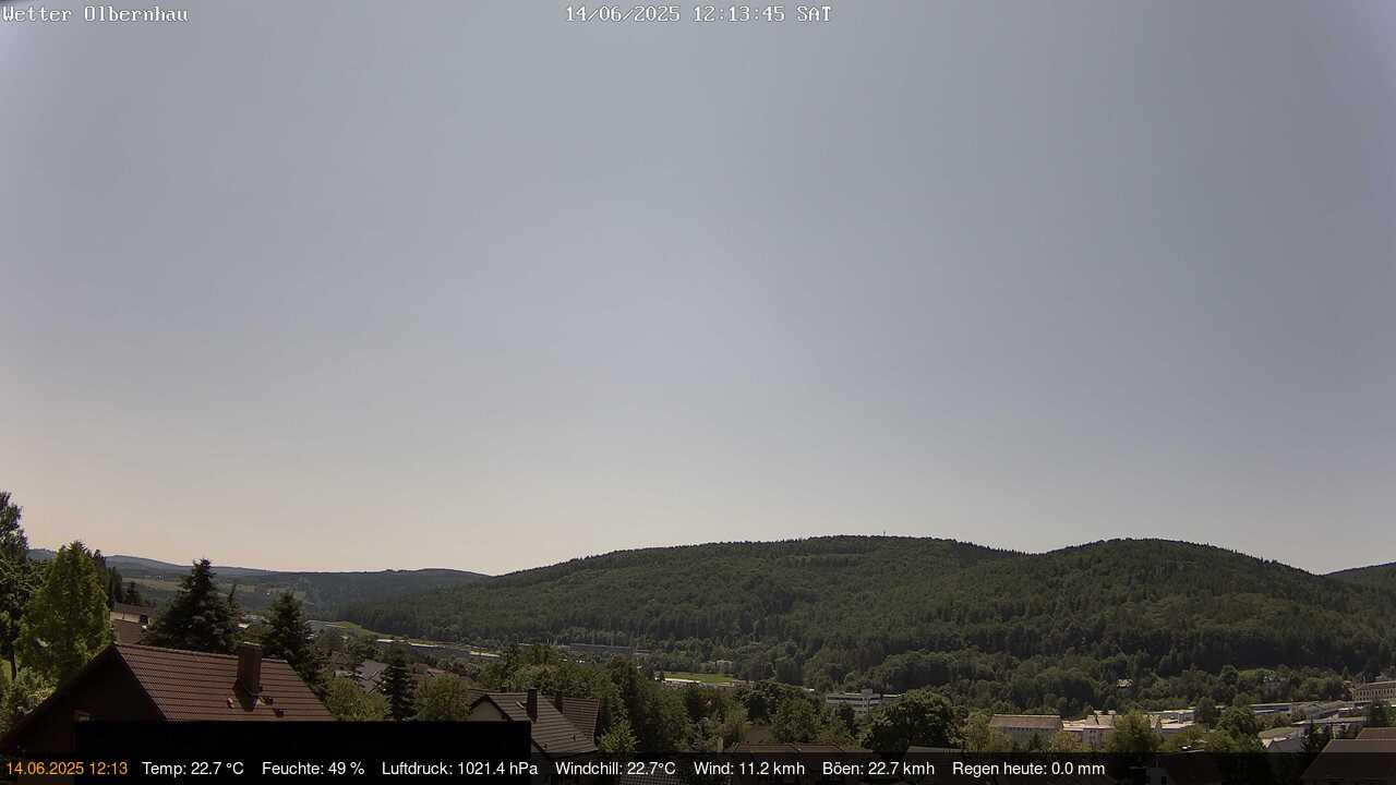 Seiffenbach forest Webcam