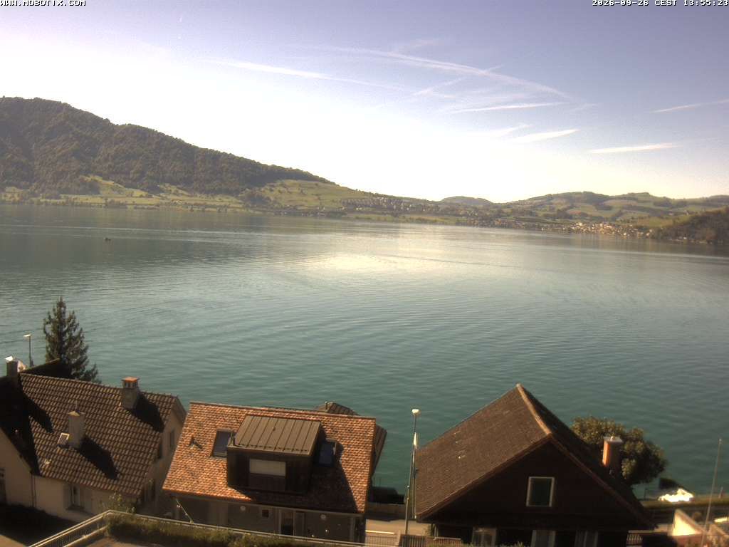Walchwil › Westen