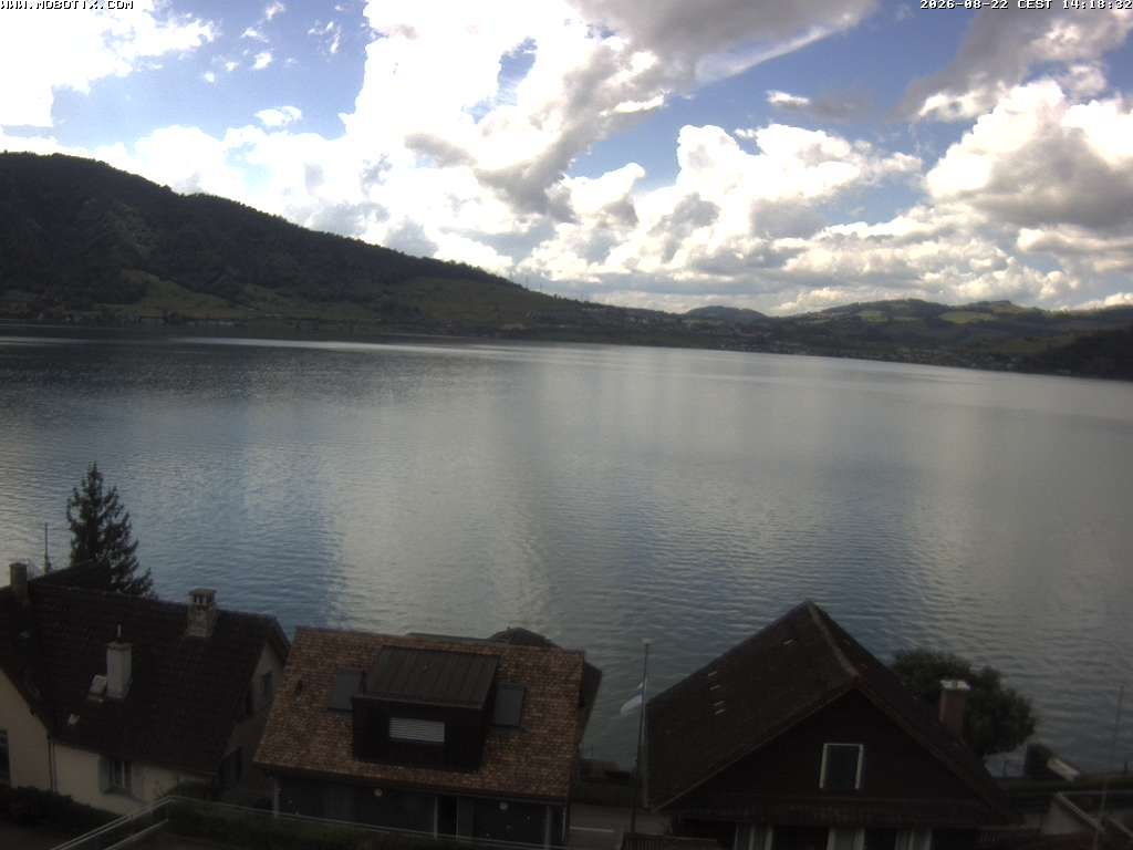 Walchwil › Westen