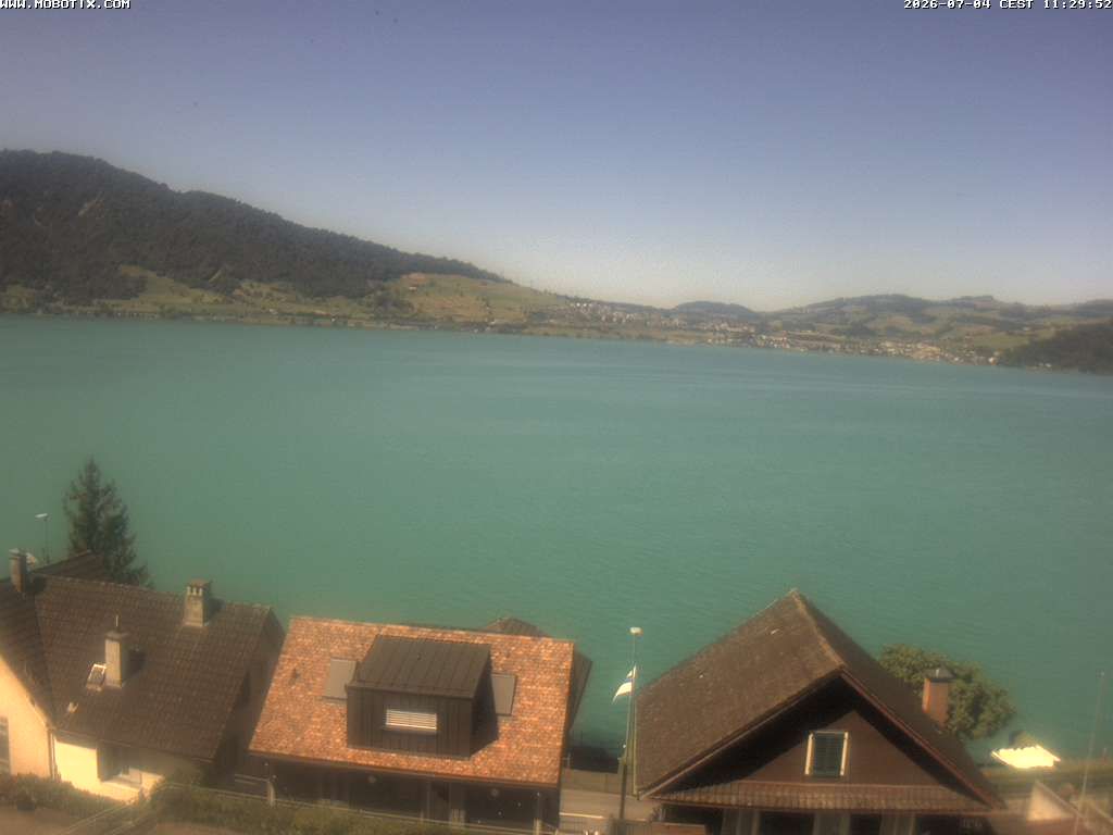 Walchwil › Westen
