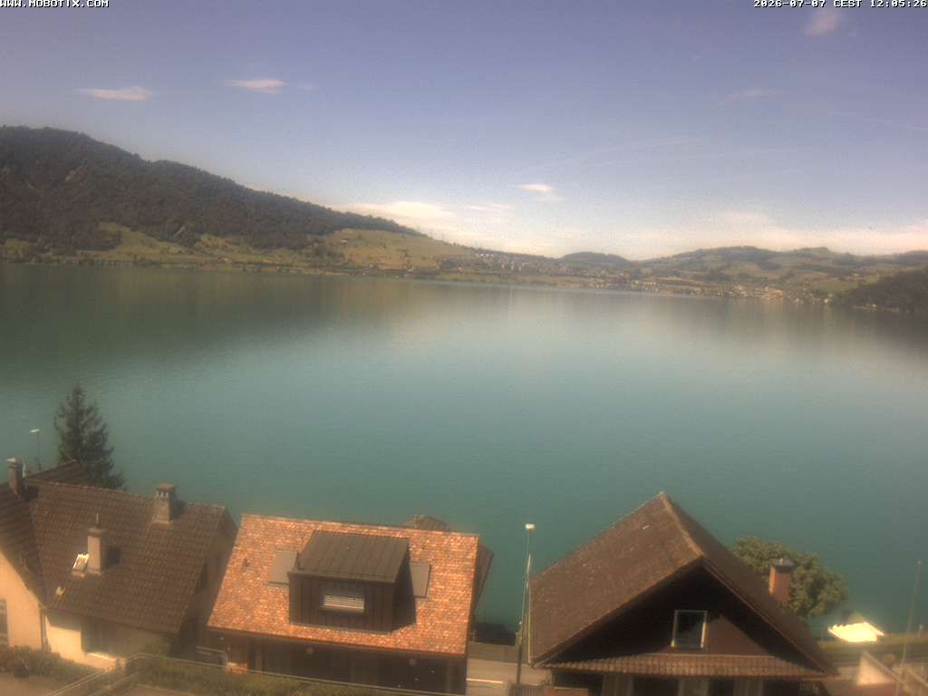 Walchwil › Westen