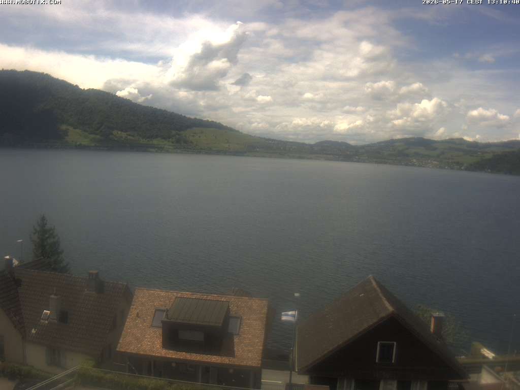 Walchwil › Westen