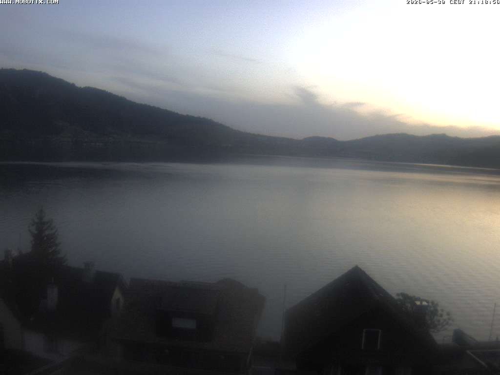 Walchwil › Westen