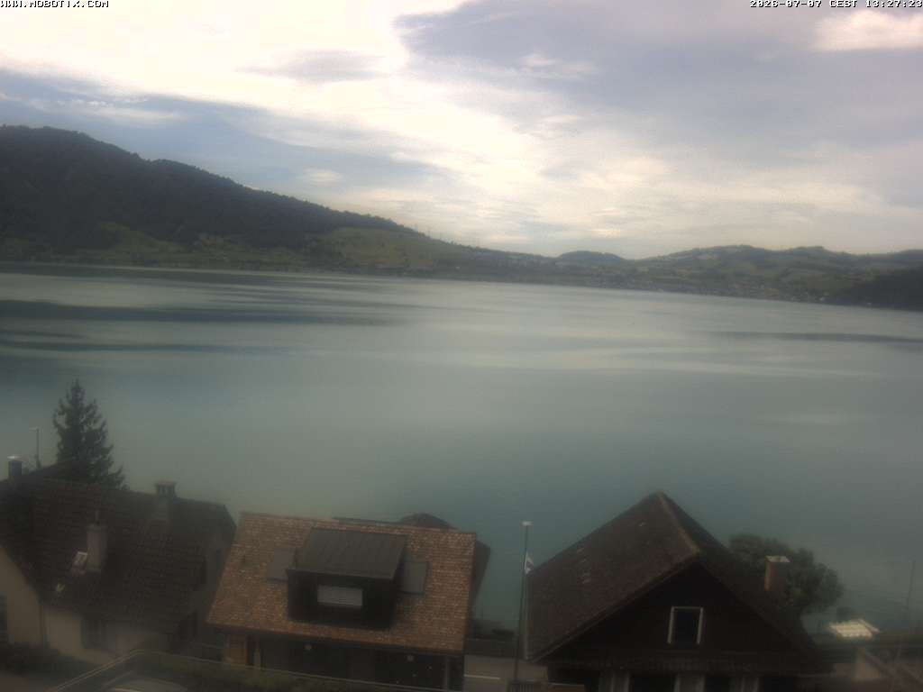 Walchwil › Westen