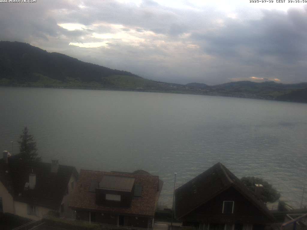 Walchwil › West