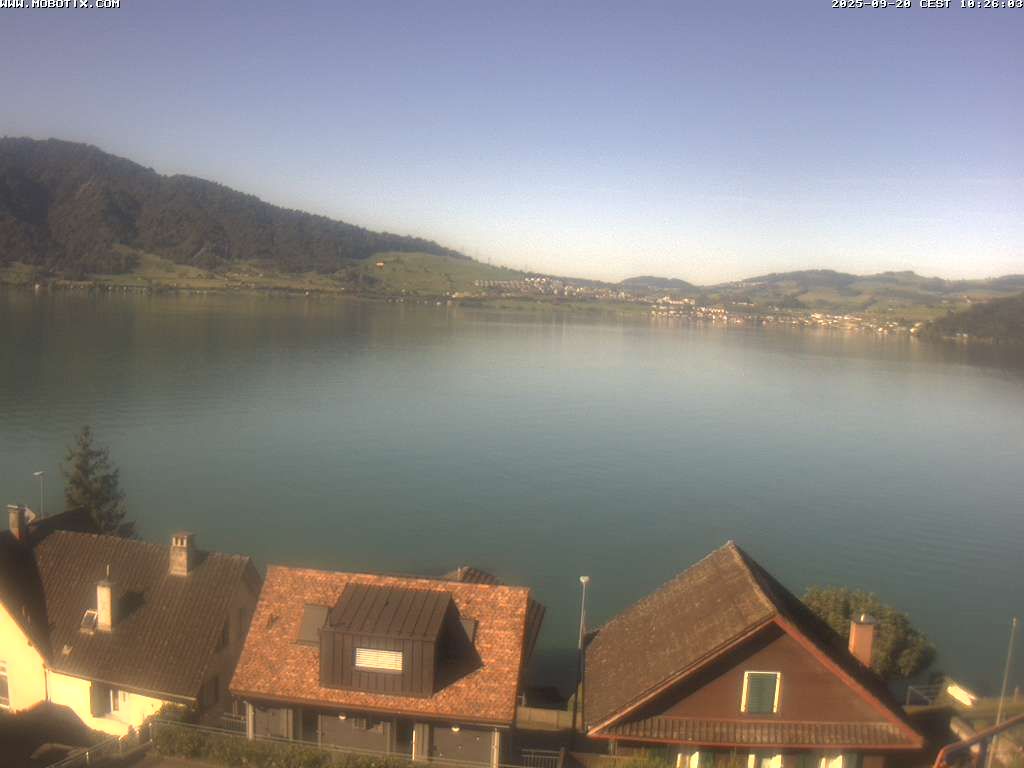Walchwil › West