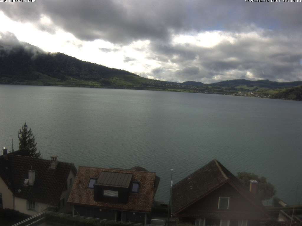 Walchwil › Westen