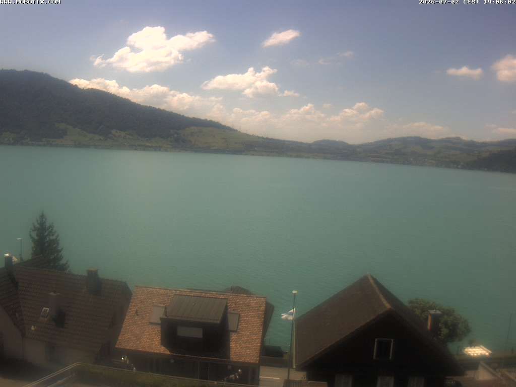 Walchwil › Westen