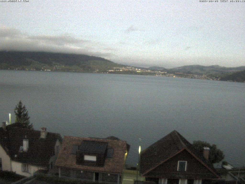 Walchwil › Westen