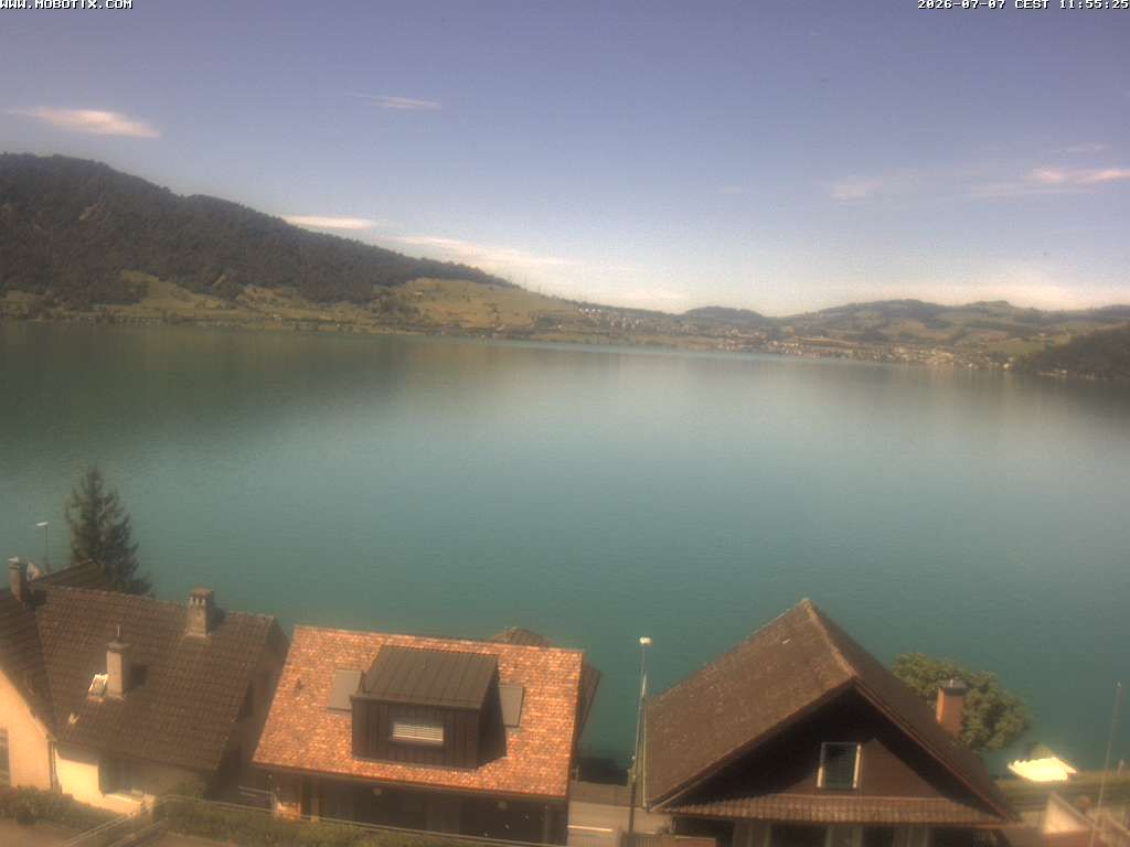 Walchwil › Westen