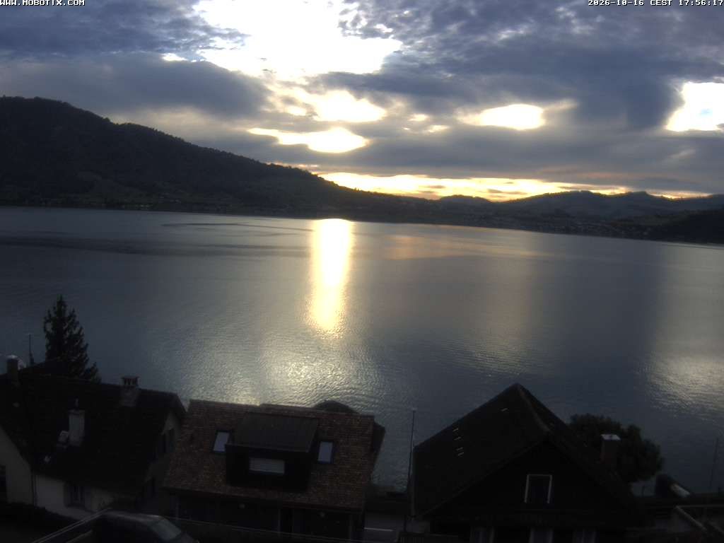 Walchwil › Westen