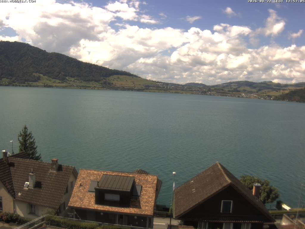 Walchwil › Westen