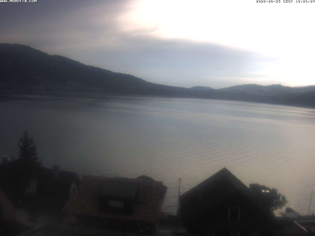 Walchwil › Westen