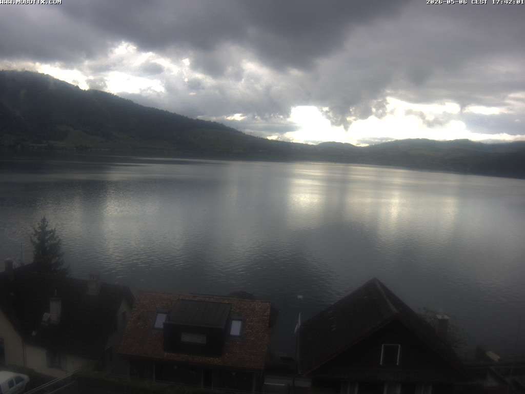 Walchwil › Westen