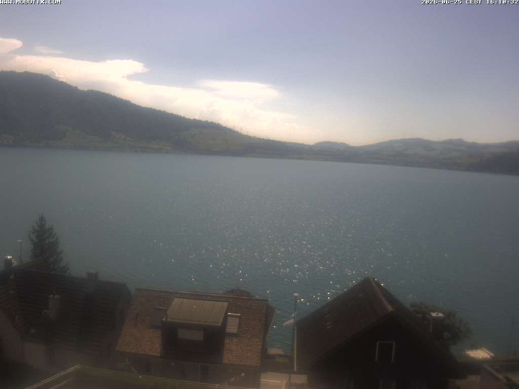 Walchwil › Westen