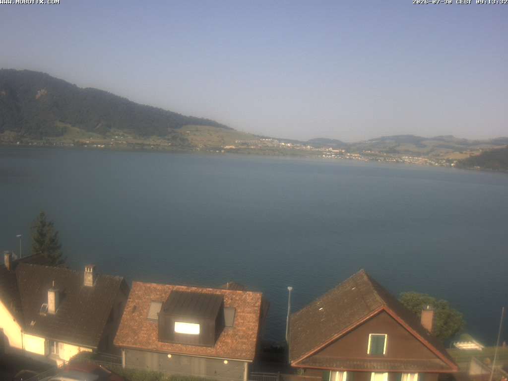 Walchwil › Westen