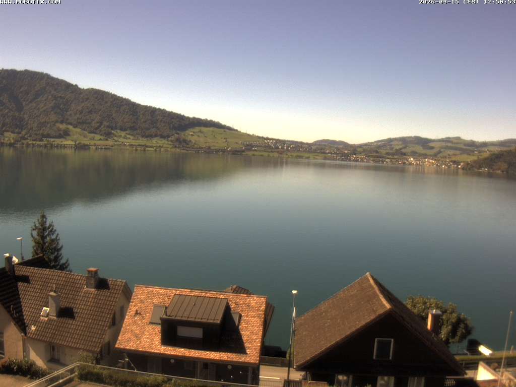 Walchwil › Westen